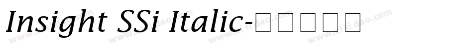Insight SSi Italic字体转换